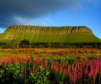 Smell - Irish clean fresh air