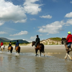 Tour of Northern Ireland and Inishowen - Horse Riding on Beach