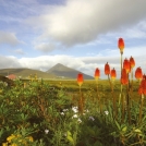 Biking Irelands West Coast from Westport with views of Croagh Patrick Mountain.