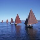 Galway Hooker Boats in Galway Bay