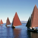 Galway Hooker Boats in Galway Bay