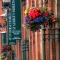 Day Tours to Belfast - St Georges Market