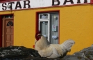 Exploring Ireland to Aran Islands on Group Tours, Rustic Bar