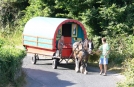 Exploring Ireland, Wonderly Wagon