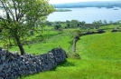 Stone fences on Backroads Trip Ireland