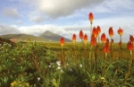 Croagh Patrick, Connemara 