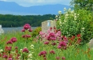 Abenteuerurlaub in Killarney, Muckross House