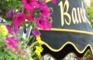 Backroads Tour in Irland | Blumen in Kinsale