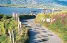 Explore Ireland Tours, Fahrradfahren auf dem Sheeps Head