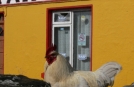 Irland erforschen auf dem Weg zu den Aran Islands, rustikale Bar