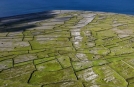 Gruppenreise zu den Aran Islands, Dun Aengus, Inis Mor