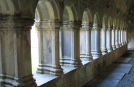 Muckross Abbey, Killarney National Park