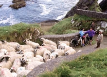 Adventure Travel in Irland zur Dingle Halbinsel