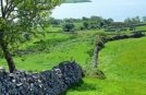 Murs de Pierres sur les petites routes d'Irlande