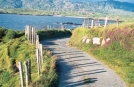 Vue depuis l'Anneau du Kerry pendant une rando Explore Ireland Tours