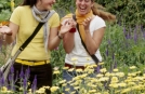 Séjour Aventure en Irlande, Regardez les fleurs pousser !